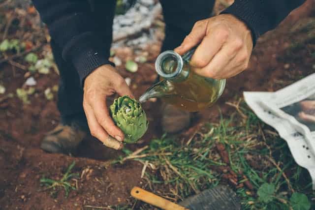 agritourism marketing strategies